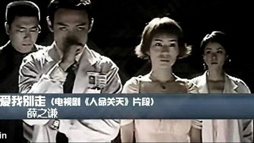 爱我别走在线观看,共赏爱我别走在线观看之旅